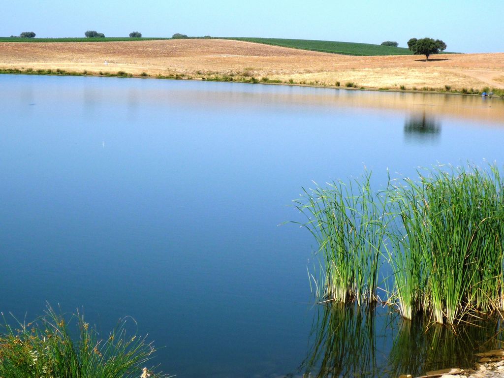 Herdade